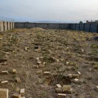 زمین واقع در ابوزیداباد دشت حسین مفرحی|فروش زمین و ملک کلنگی|کویرات, |دیوار