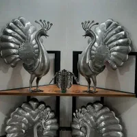 طاووس علامت چکشی