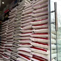 تعدادوتک فروشی خاک گربه شن خاک گربه کیوت کت.بوبو