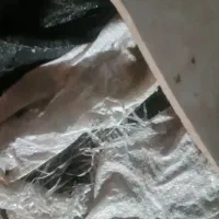 کود کبوتر . خاک کبوتر