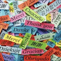 آموزش خصوصی و گروهی انگلیسی در تمامی پایه ها