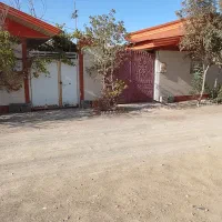 زمین کهک میم بهترین جای میم