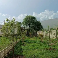 سوییت شیک و تمیز|اجارهٔ کوتاهمدت آپارتمان و سوئیت|کوهدشت, |دیوار