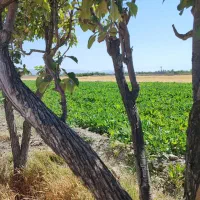 اب چاه روستای  کلات میان (نزدیک به بافت)