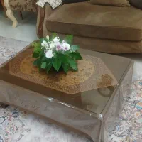 مبل راحتی ونیمه استیل|مبلمان خانگی و میز عسلی|تهران, توحید|دیوار