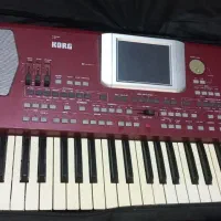 کرگ pa 500 pertion|پیانو، کیبورد، آکاردئون|چالوس, |دیوار