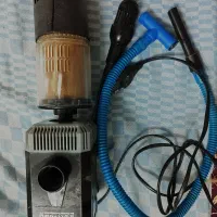 وسایل آکواریوم و ماهی کالر ارزان|ماهی|اردبیل, |دیوار