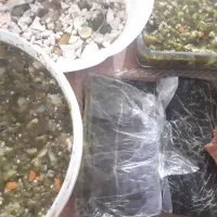 از تولید به مصرف