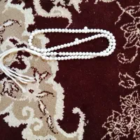 تسبیح|بدلیجات|شیراز, لاله|دیوار