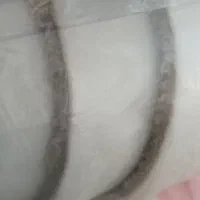 موکت پالاز مصور|موکت|کرج, حیدرآباد|دیوار