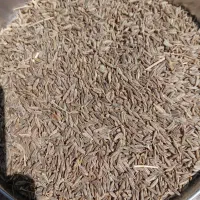 زیره سبز ، تمییز و درشت