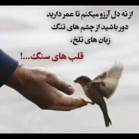 هم فکری و کمک