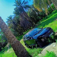 X33کراس صفر 404