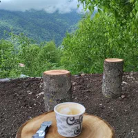 ویلای جنگلی چهارفصل|اجارهٔ کوتاهمدت ویلا و باغ|تالش, تالش|دیوار