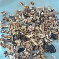 گردو|خوردنی و آشامیدنی|تویسرکان, |دیوار