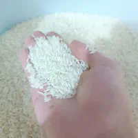 برنج هاشمی