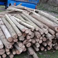 تخریب و خرید چوب|خدمات باغبانی و درختکاری|گوراب زرمیخ, |دیوار