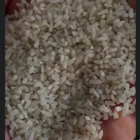 برنج نیم دانه مناسب کبوتر