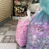 گلاب و عرقیجات درجه یک|خوردنی و آشامیدنی|تهران, گلستان (شهرک راه آهن)|دیوار