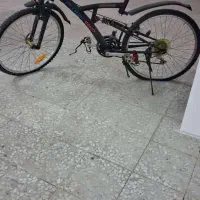 برند المپیا ۲۶