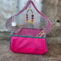 قفس پرنده