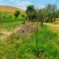 زمین کشاورزی درجه یک