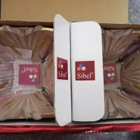 سرویس پذیرایی 15 تیکه شیشه صورتی و طلایی|ظروف سرو و پذیرایی|رامهرمز, |دیوار