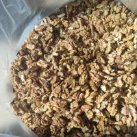 مغز گردوی سفید