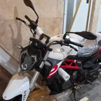 بنلی ۳۰۰ جفت ، خشک صفر مدل ۱۴۰۳