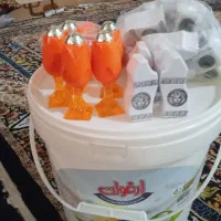 لیوان و نمکدان نونو سالم هست|ظروف سرو و پذیرایی|قم, شهر قائم|دیوار