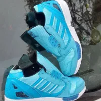 ک‌فش‌|کیف، کفش، کمربند|کنگاور, |دیوار