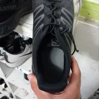 کفش سالامون|کیف، کفش، کمربند|بابل, |دیوار