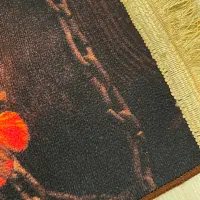 پادری و گربه|پادری|سهند, |دیوار