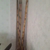 چوب بامبو