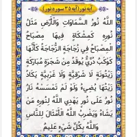 فروش کتاب مجربات ابن سینا و کنزالهیود