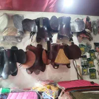 فروشگاه لوازم اسب و سوارکاری|اسب و تجهیزات اسبسواری|گرمی, |دیوار