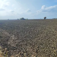 فروش 6هکتار زمین کشاورزی در خان ببین