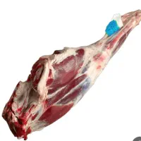 گوشت
