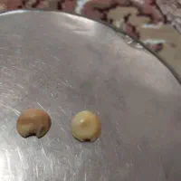 موهرماراصلی فقط برای عشق و محبت و.