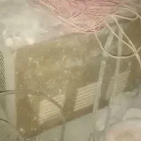 ترانس جوش