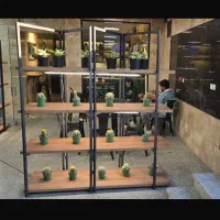 استند چوبی فلزی|گل و گیاه طبیعی|تهران, کوهک|دیوار