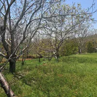 فروش زمین ۲۲۰۰ متری|فروش زمین و ملک کلنگی|قزوین, |دیوار