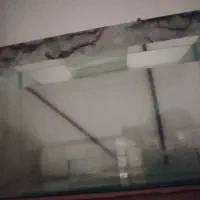 آکواریوم سالم