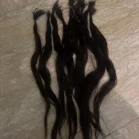 اکسیشن