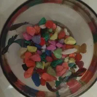 ماهی های فایتر ۲نر و ۲ماده آماده تخم ریزی