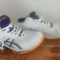 کفش والیبال|کیف، کفش، کمربند|گنبد کاووس, |دیوار