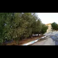 فروش ۲۵ هکتار زمین مناسب برای ساخت مسکن
