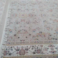 فرش نو|فرش|گلستان (تهران), |دیوار