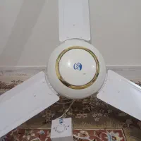 پنکه سقفی poA|پنکه و تصفیهکنندهٔ هوا|شیروان (خراسان), |دیوار