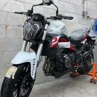 بنلی 300 250 دوسیلندر خشک 1403 سفید